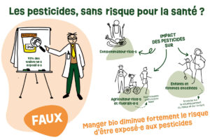 Les pesticides, sans risque pour la santé ?