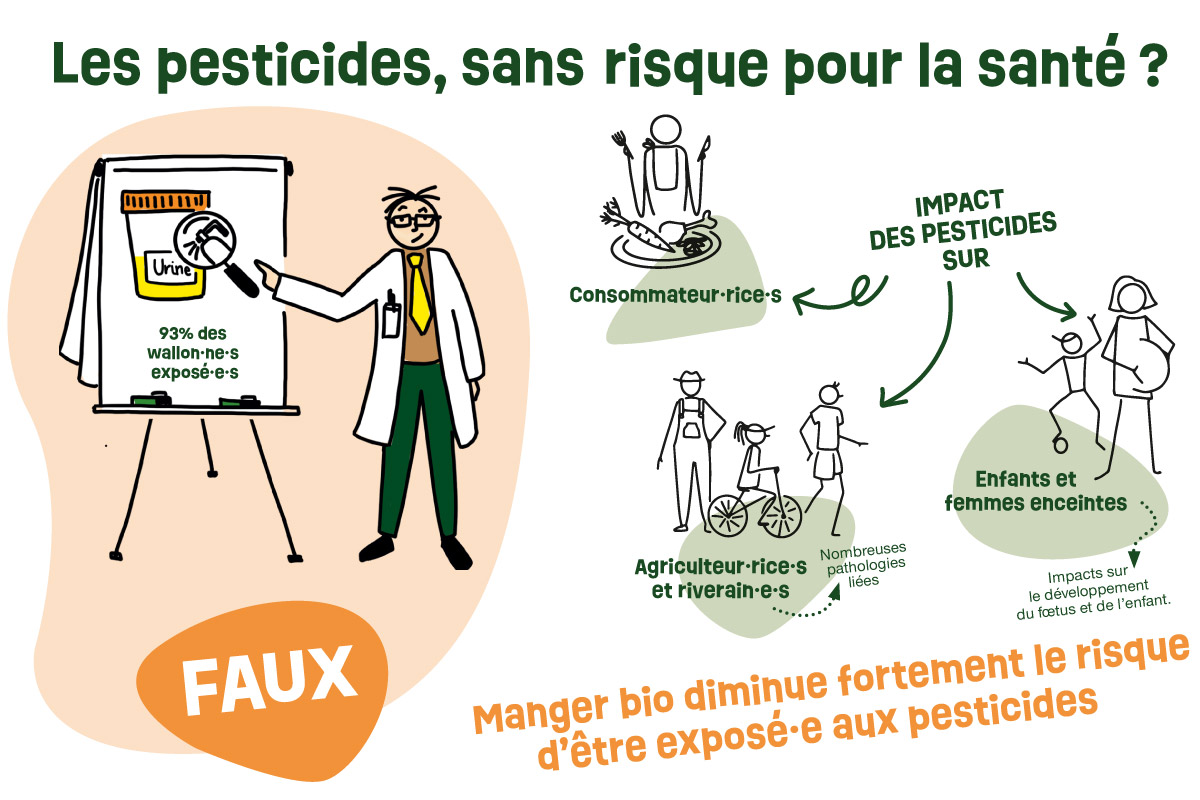 You are currently viewing Les pesticides, sans risque pour la santé ?