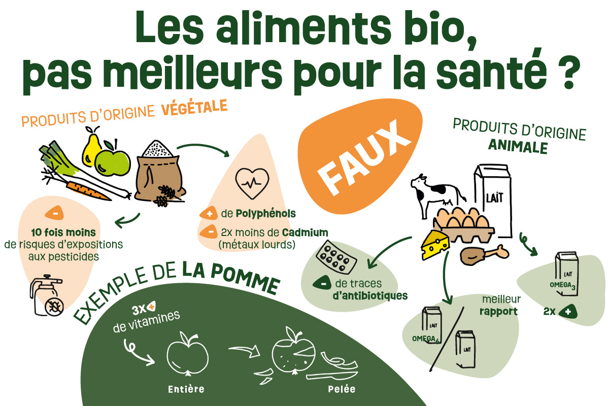 You are currently viewing Les aliments bio, pas meilleurs pour la santé ?
