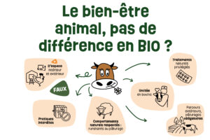 Le bien-être animal,  pas de différence en BIO ?