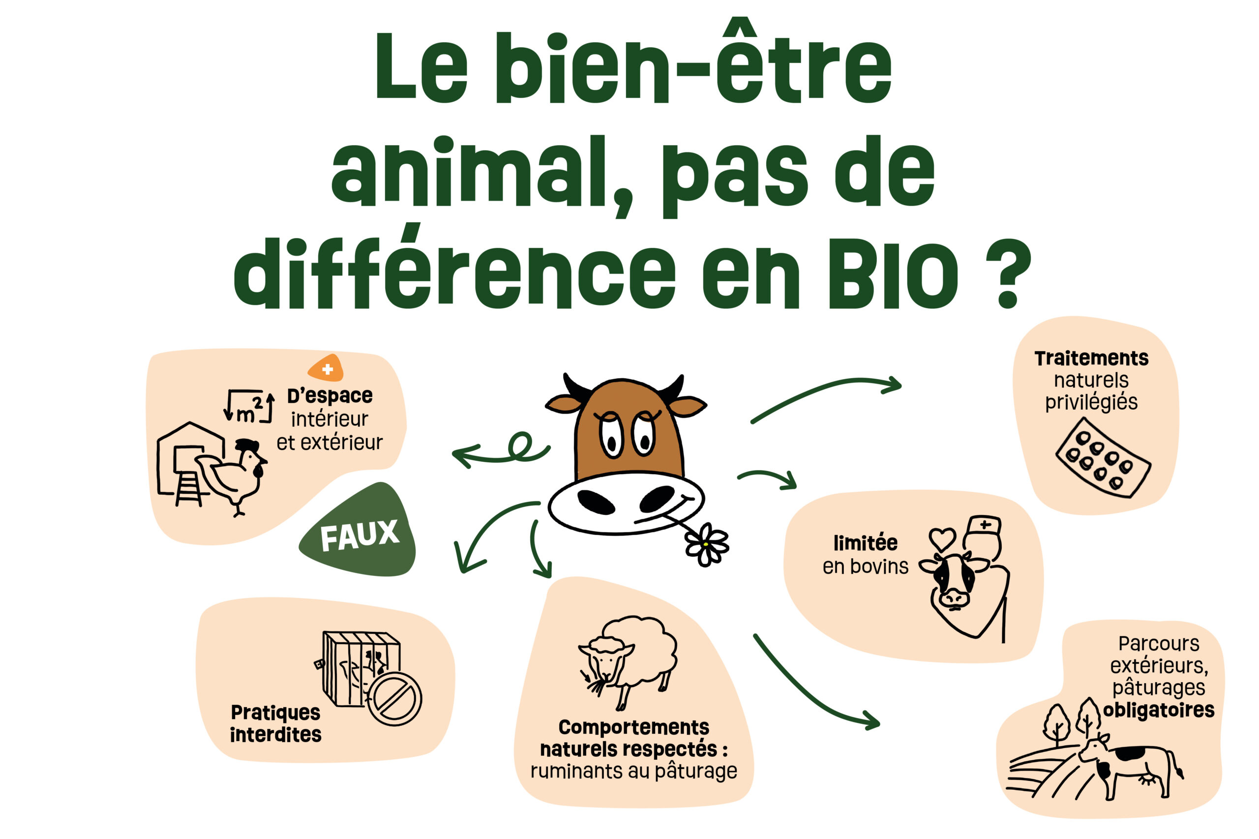 Lire la suite à propos de l’article Le bien-être animal,  pas de différence en BIO ?