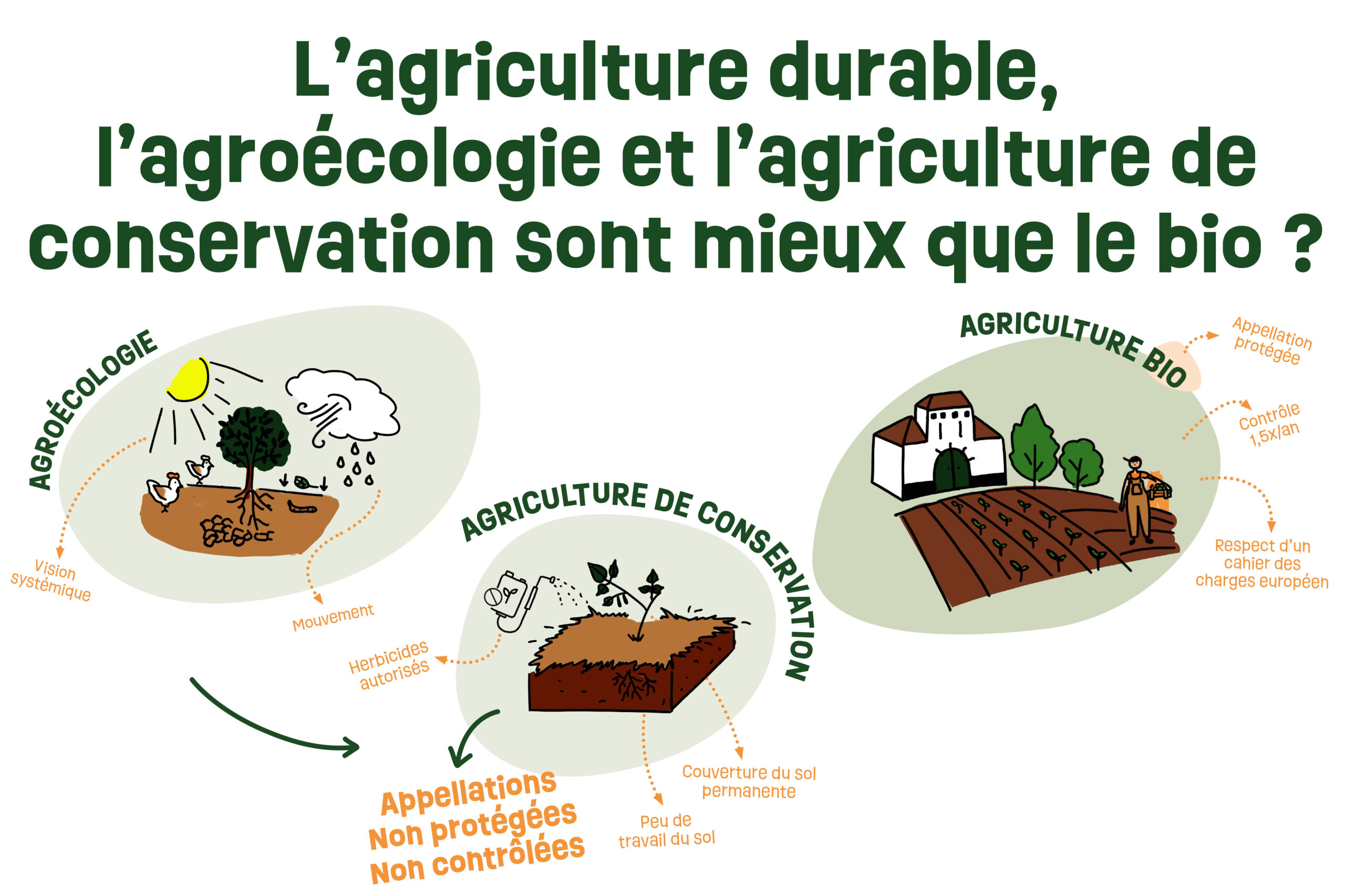 Lire la suite à propos de l’article L’agriculture durable, l’agroécologie et l’agriculture de conservation sont mieux que le bio ?