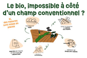 Le bio, impossible à côté d’un champ conventionnel ?