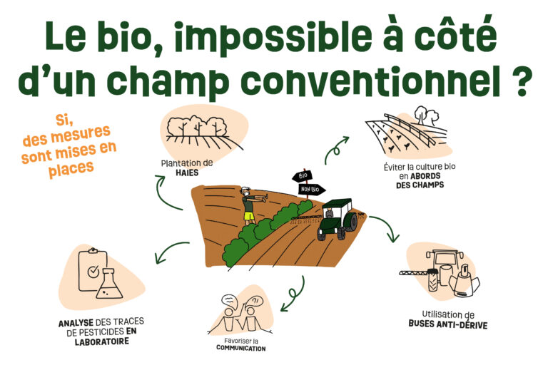 Le bio, impossible à côté d’un champ conventionnel ?