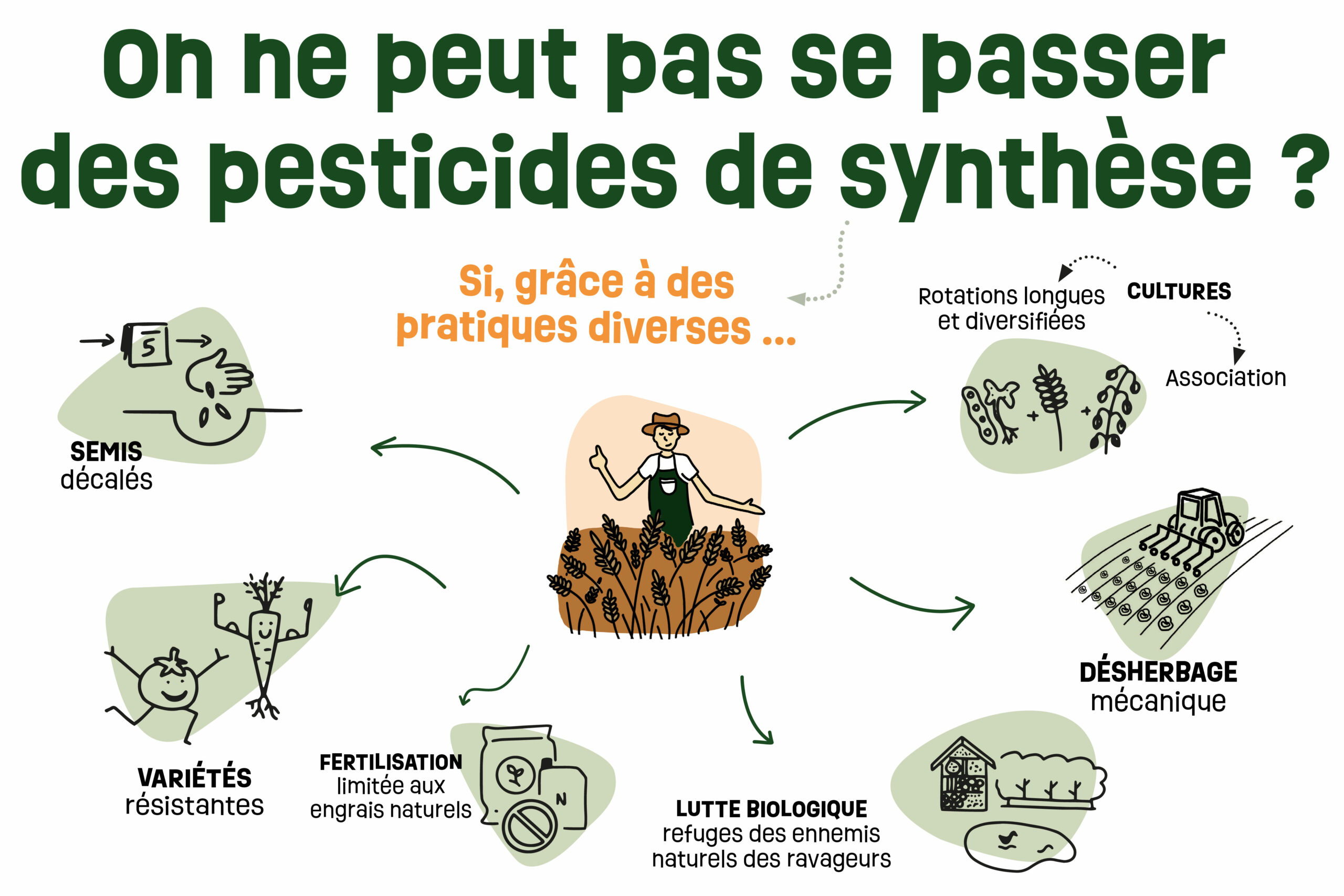 Lire la suite à propos de l’article On ne peut pas se passer des pesticides de synthèse ?
