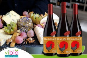 Le Beaujolais Nouveau 2024 de la Maison Jean Loron : Un classique revisité